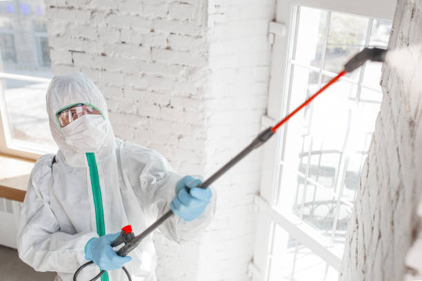 Best Asbestos and Lead Testing During Mold Inspection  in Arnold, PA