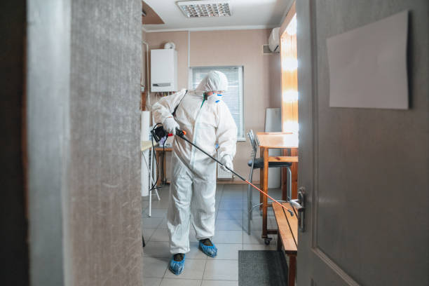 Mold Remediation for Vacation Homes in Arnold, PA