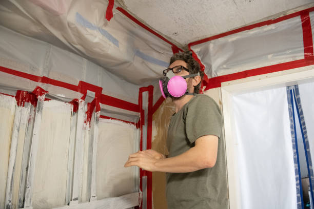 Reliable Arnold, PA Mold Inspection, Removal & Remediation Solutions