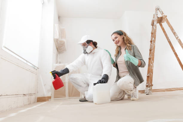 Best Mold Damage Restoration  in Arnold, PA