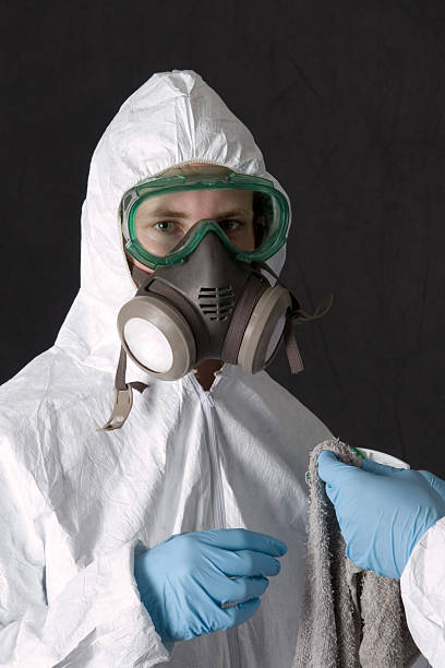 Best Emergency Mold Remediation  in Arnold, PA